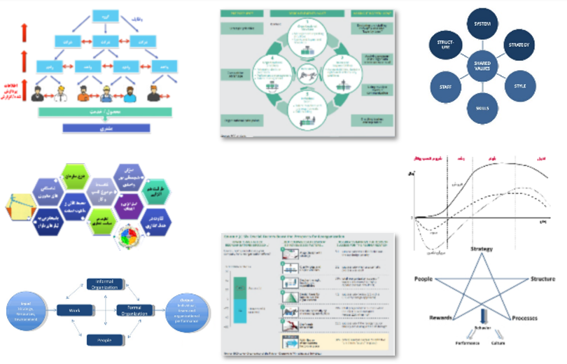 organizational_structure_img